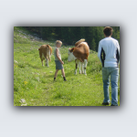 Jungschuetzenausflug 2.7.06 045.png